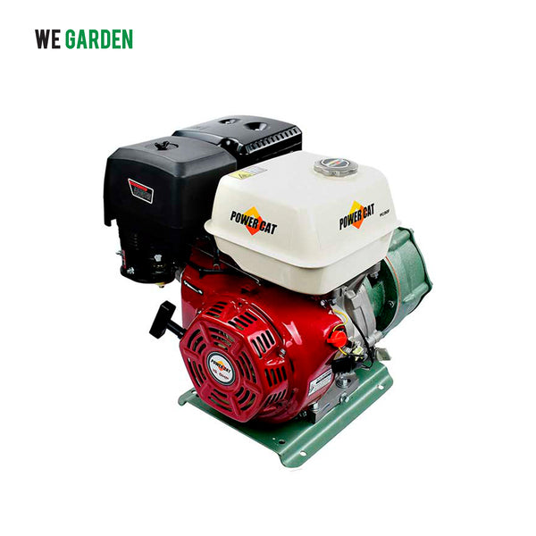 Motor 4T, 13hp, 389 cc, 3600 RPM